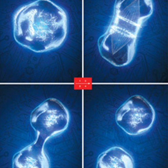 הדמיית מחשב של תא חי