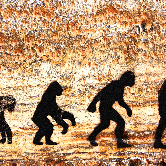 Common Misconceptions About Evolution