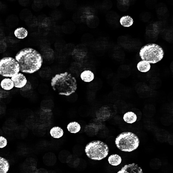 מסע הפטריות הקטלניות