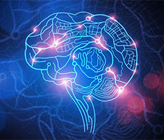 פאנל שאל את המומחה – מוח וחושים 24.2.15