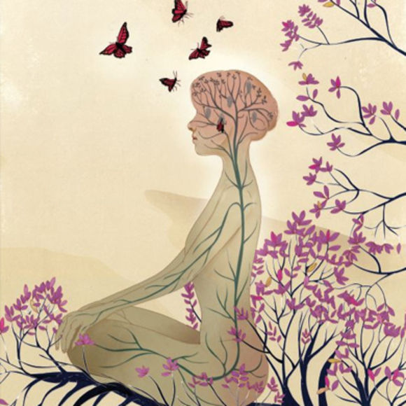 מוח במדיטציה