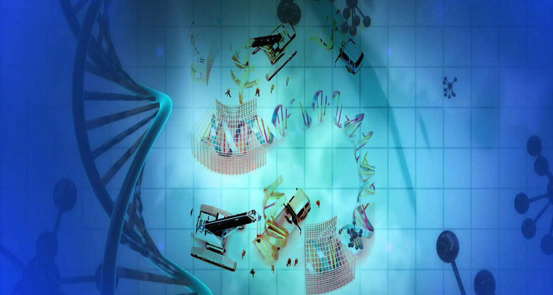 מנורת קסמים לתיקון גנים