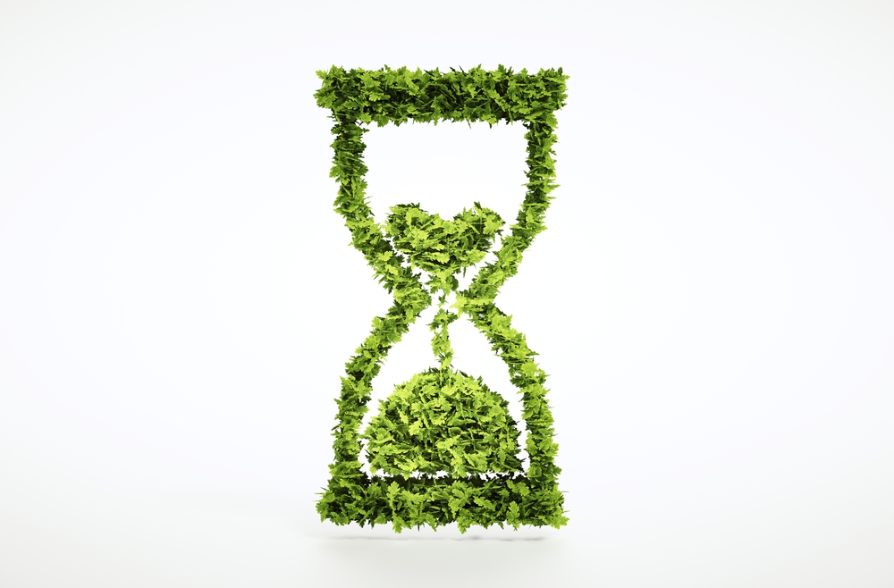 השעון שבתוך הצמחים