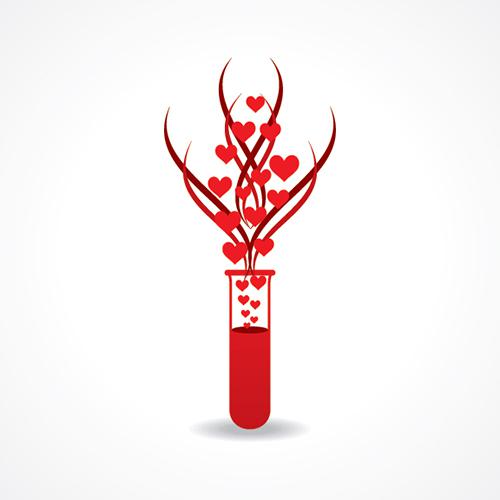 קיצור תולדות האהבה