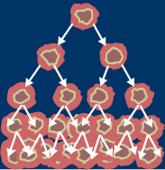 הקוד שמאפשר לתכנת תאי סרטן