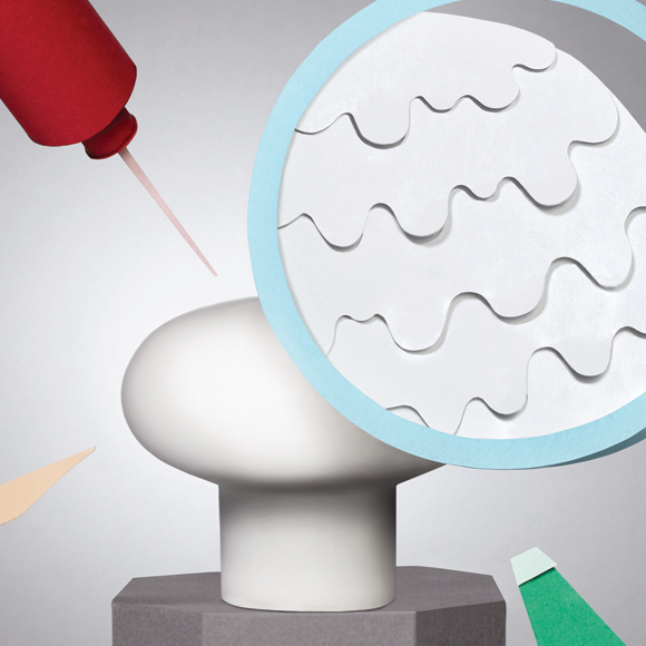 לערוך את הפטרייה