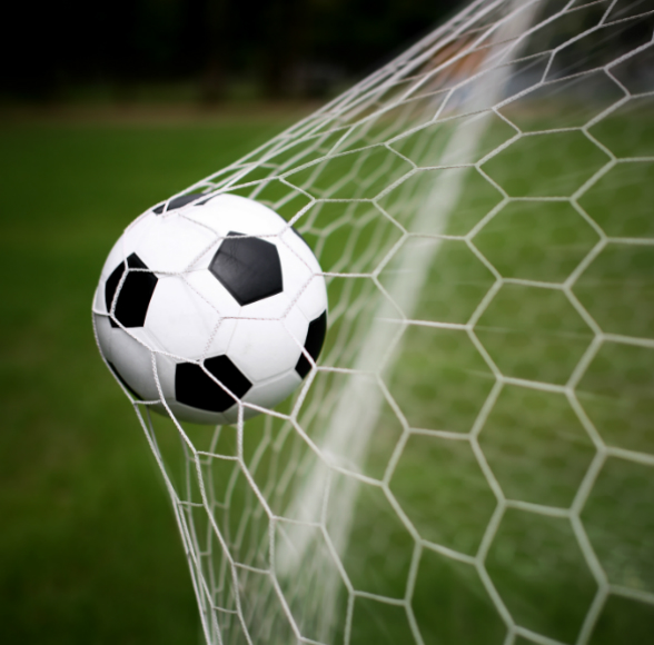 הכדור הוא עגול?