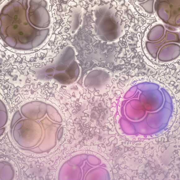 מדע בדקה: FDA מפסיקים ניסוי קליני לטיפול בסרטן