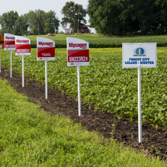 הצעת חוק בארה”ב: סימון מוצרים מהונדסים
