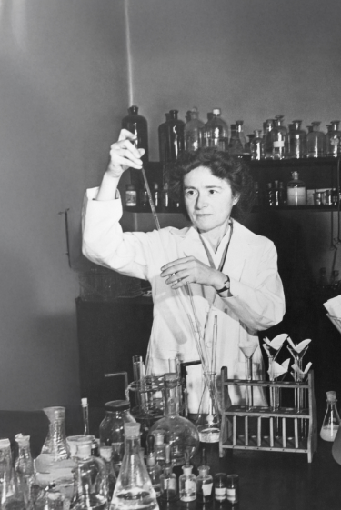 היום לפני: המדענית שגילתה את מעגל האנרגיה