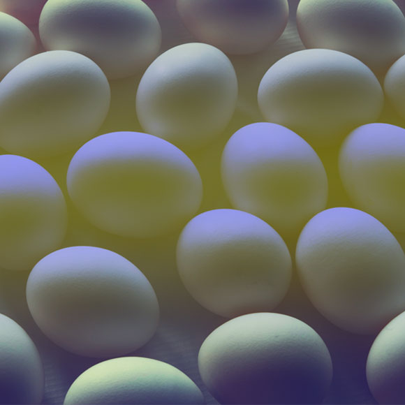 ביצה מתנפחת ומתכווצת