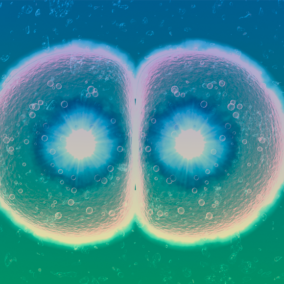 לא בלי אמא: המרחק בין ממצאים לכותרות