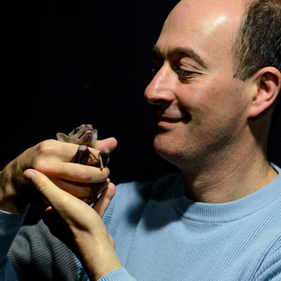 Navigation: a New Israeli Discovery