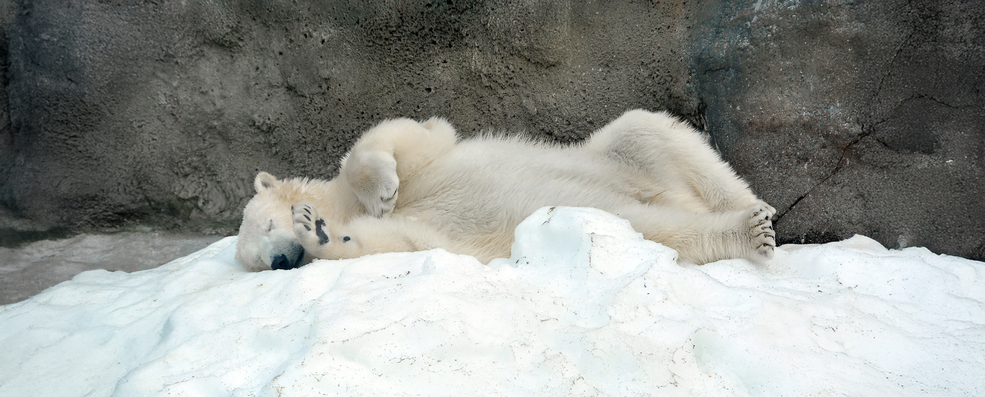 כך מתחממים בימים קרים