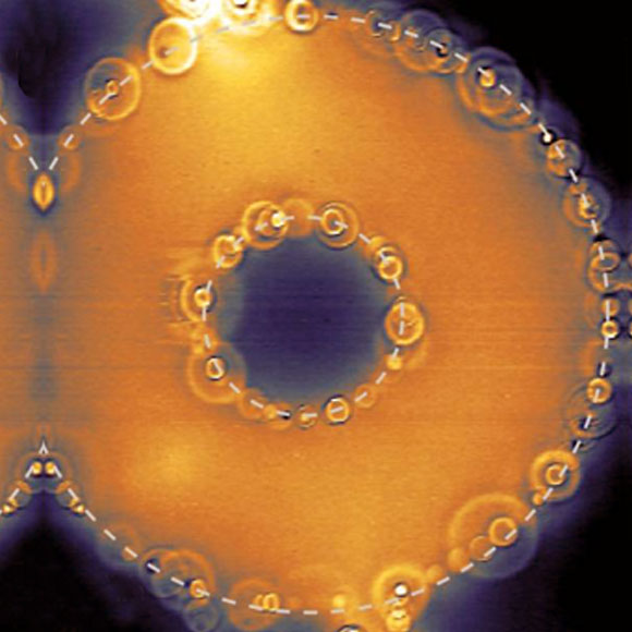 המדחום הרגיש בעולם