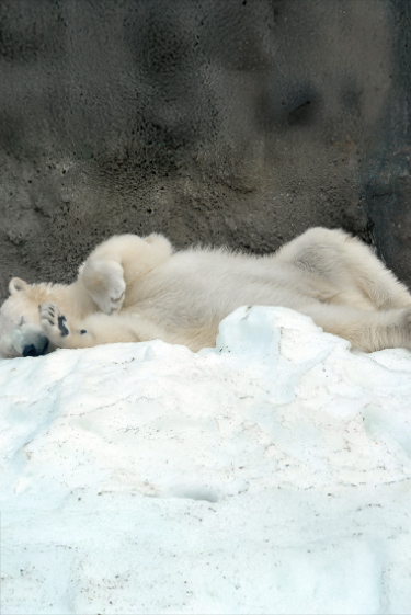 כך מתחממים בימים קרים