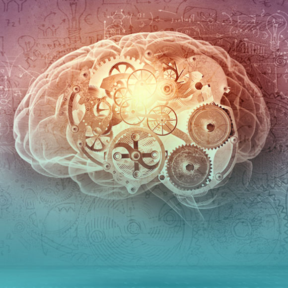 יש מה ללמוד ממדעי המוח