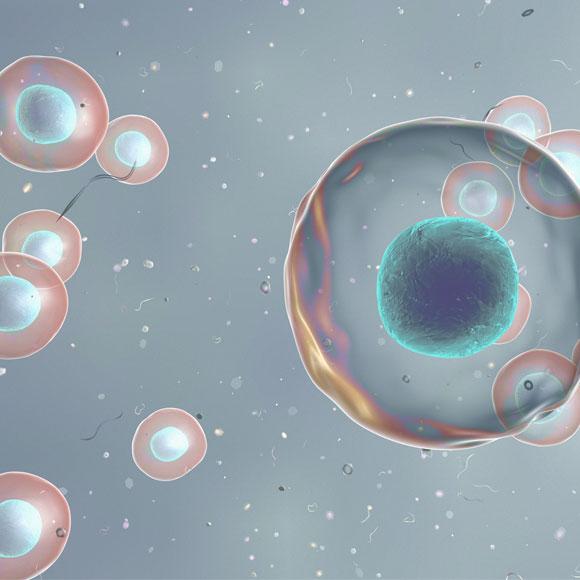 מנגנון הניקיון של התא