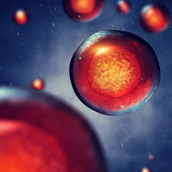 ה”חלליות” שיעבירו תרופות בין תאים