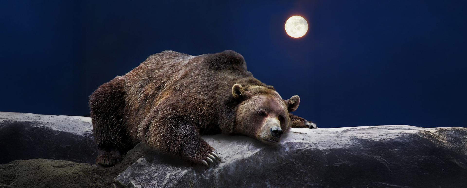 שינה מתוקה, ניפגש בקיץ