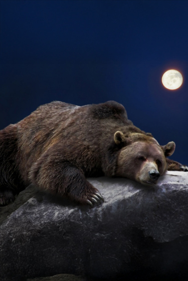 שינה מתוקה, ניפגש בקיץ