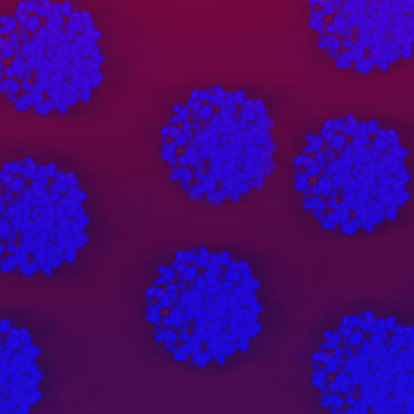 ריפוי גֵנִי של מחלת שרירים תורשתית