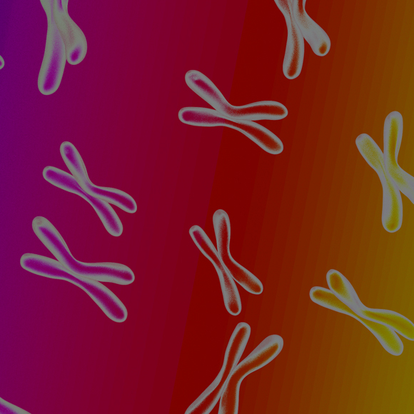 ה-DNA ה”פיראטי” של הסרטן