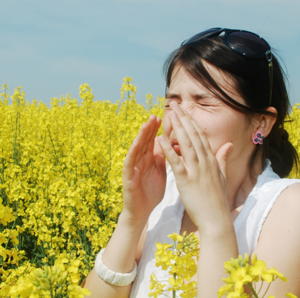 איך נגרמת אלרגיה?