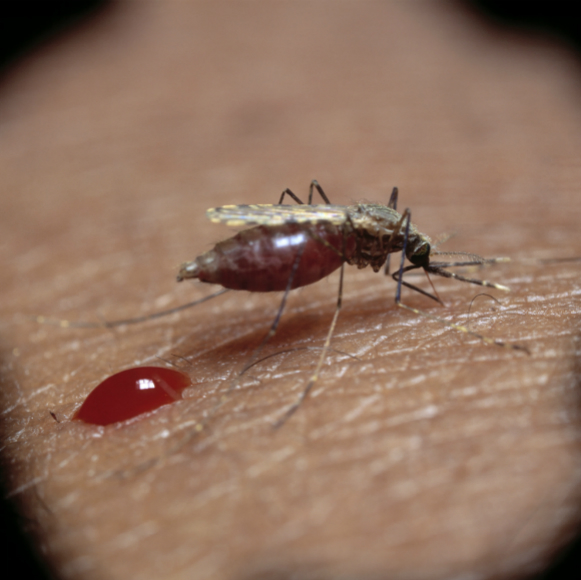 התאורה שתנצח את המלריה?