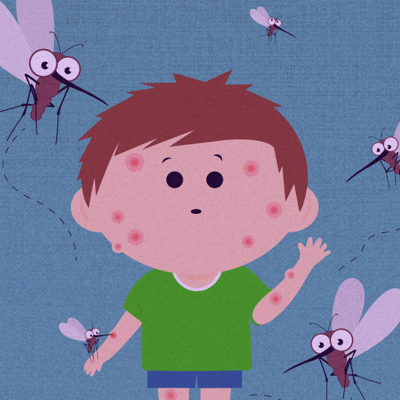 החומרים שמגינים עלינו מעקיצות