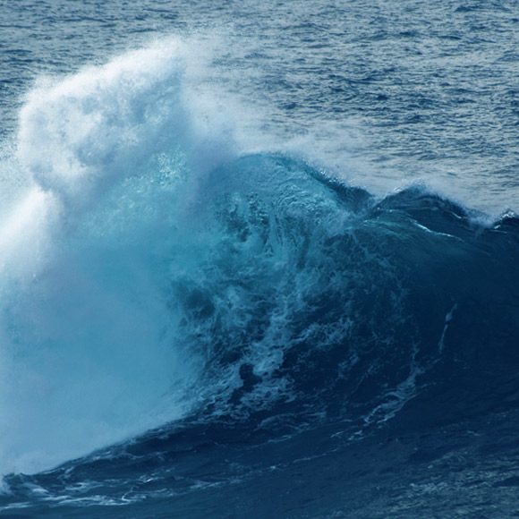 למה הים מלוח?