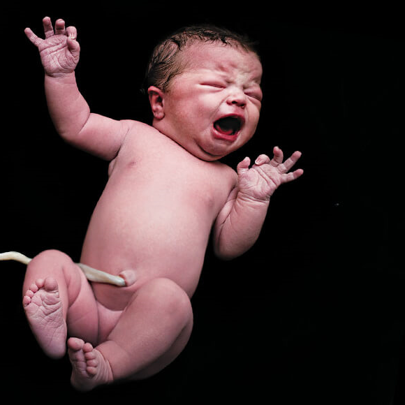 השליה – האיבר הראשון של העובר