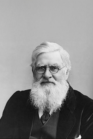 אבי האבולוציה שההיסטוריה שכחה