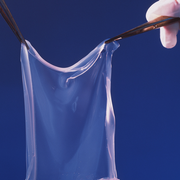 סוד השלמות של העור