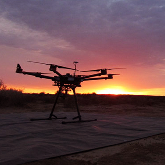 האסטרונומים שרודפים אחרי ארנבונים