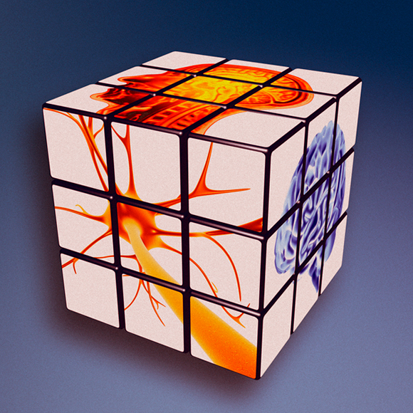 פסטיבל משחקי חשיבה – האתגר הווירטואלי מס.1