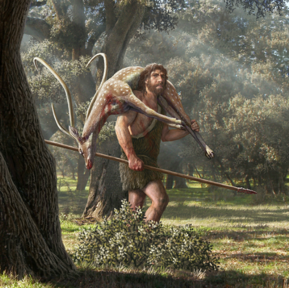 מחקר: כך צדו הניאנדרטלים