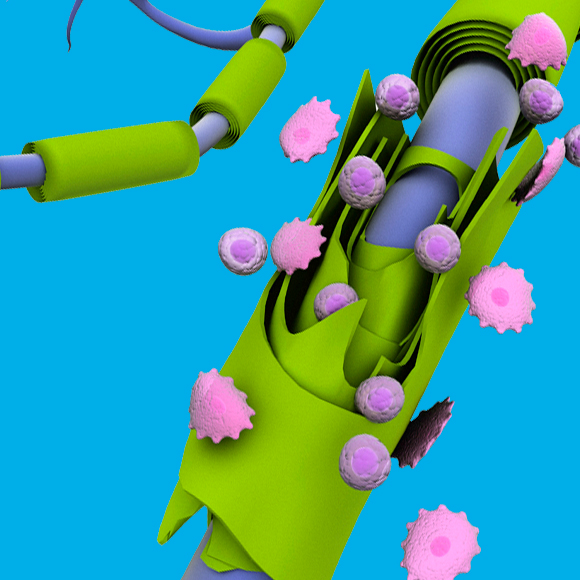 The Mystery of the Rare Mutation