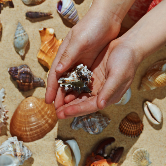 הקייטנה של דוידסון