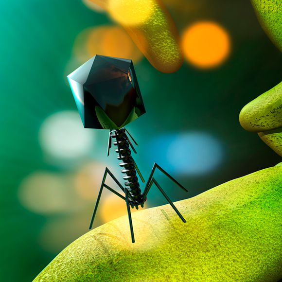 نوبل في الكيمياء : علم الأحياء في أنبوب اختبار