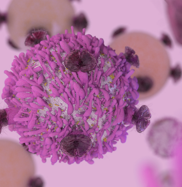 نوبل في الطب 2018: جهاز المناعة في وجه السرطان