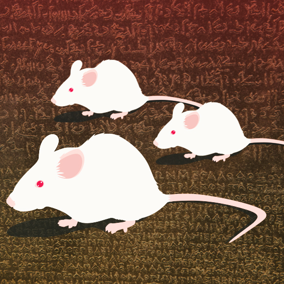 Mouse-Human Dictionary