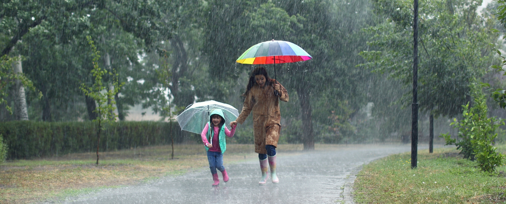 גשם גשם משמיים: מיתוסים של חורף