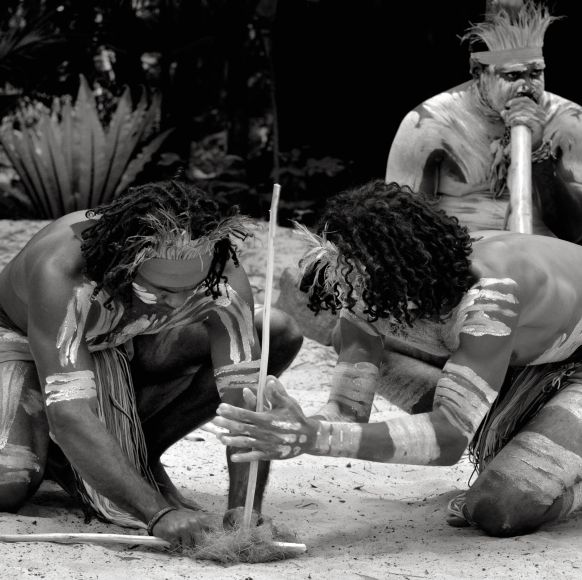 הפסים שמרחיקים זבובים?