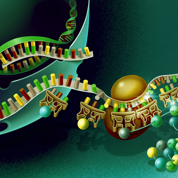 לשנות את קוד החיים