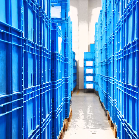 מיכלי פלסטיק ביולוגי עלולים לזהם את הסביבה