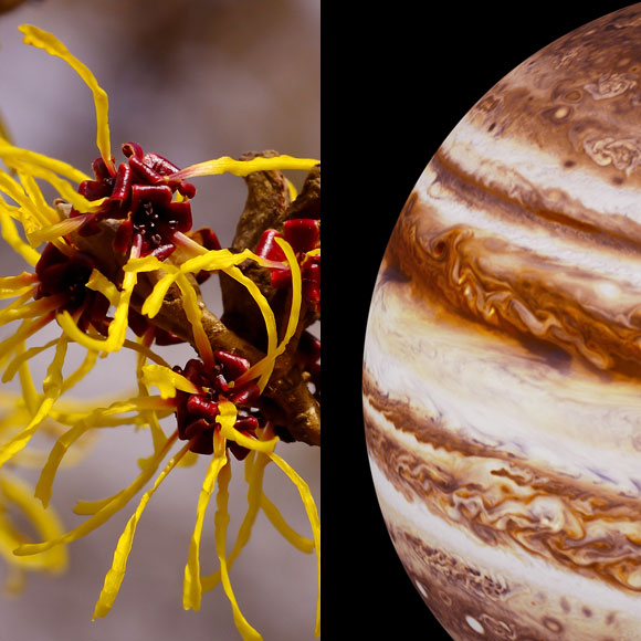 מהנשמדע: מה היה חדש השבוע במדע?