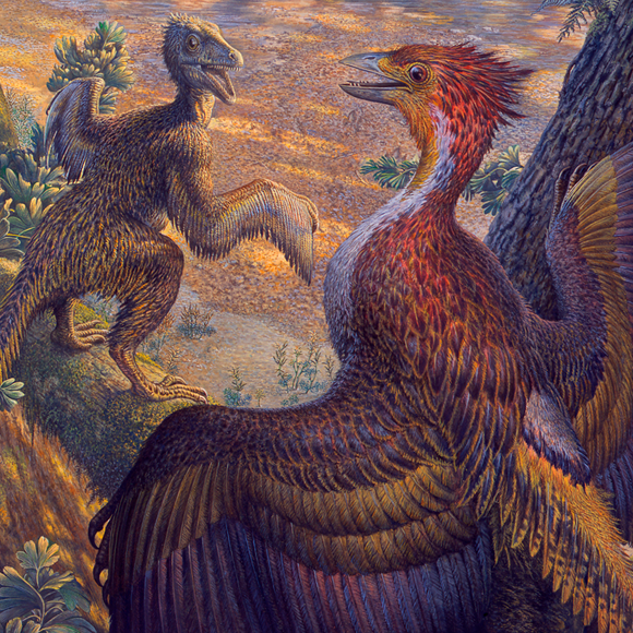 מחימום לתעופה, בעזרת החיזור