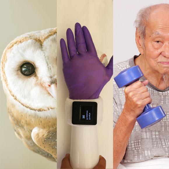 מהנשמדע: מה היה חדש השבוע במדע?