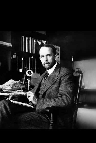 הזבובים שחשפו את מנגנוני התורשה